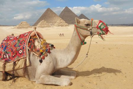 Complete Adventure in Giza: Pyramids, Camel & Quad ATV, dinner..