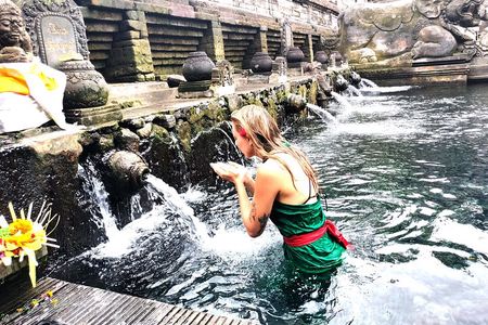 Ubud :Spectacular Waterfalls & Temple Tour 