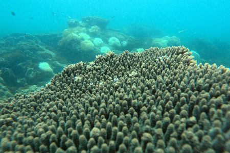 Snorkeling Island Hopping with Cable Car and Lunch