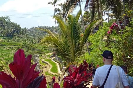Wonderful of Ubud Full Day Private Guided Tour 