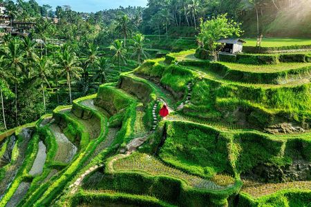 Private Full Day Tour in Ubud 