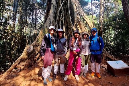 Haew Suwat Waterfall-Jungle Hiking to KM 33 Nong Pak Chi
