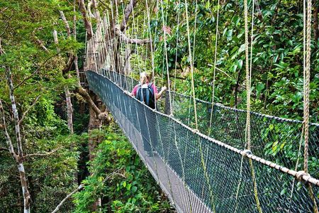 From Kuala Lumpur Taman Negara Day Trip With Lunch