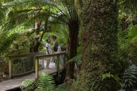 Great Ocean Road, 12 Apostles, Rainforest & Morning Tea-Melbourne