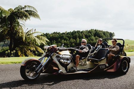 TAURANGA SHORE EXCURSION: Epic 25 min V8 Trike tour of Mt Maunganui & Tauranga