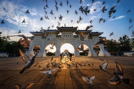 Taipei City Morning Tour with National Palace Museum entry