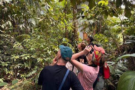 4 Day All Inclusive Amazon Jungle Adventure, transfer from Quito