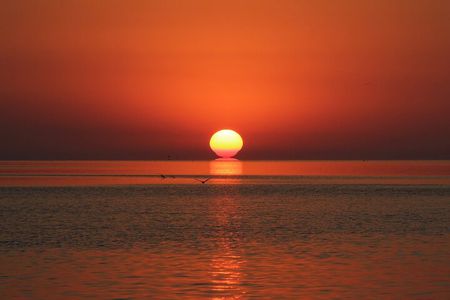 2 Hour Sunset Eco-Cruise