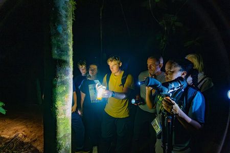 Nocturnal Walk in the Hanging Bridges