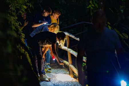 Nocturnal Walk in the Hanging Bridges