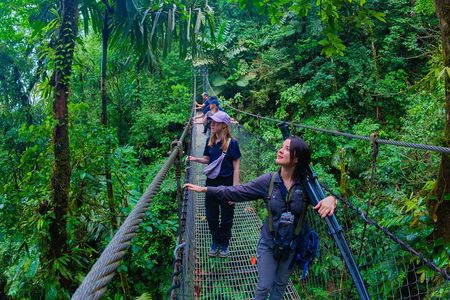 Birdwatching Tour at Mistico Park