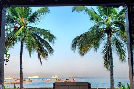 Explore the Whole Zanzibar Island in One Day