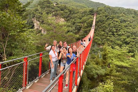Seoul DMZ Tour with 3rd Tunnel and Red Suspension Bridge