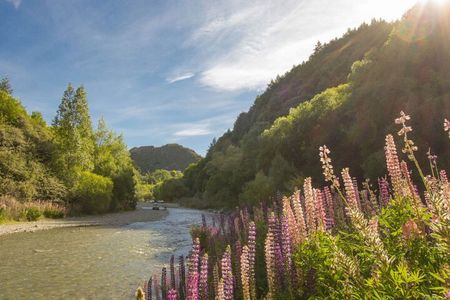 Arrowtown to Queenstown Bike Tour with Shuttle