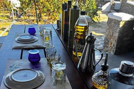 Olive Oil Tasting at the Mykonian Farm