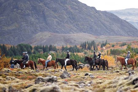 Icelandic Horseback Riding Tour with Pickup Option from Reykjavik