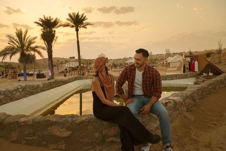Best of Dubai: Desert Safari, Cruise, Bus Tour & Marina Dinner