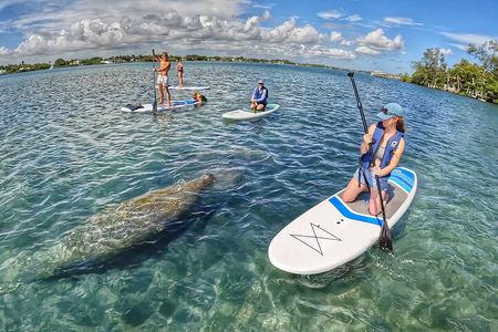 Paddle Boarding Eco Adventure Tour Jupiter Florida - Singer Island