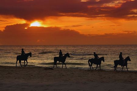 Afternoon Horseback Ride by the Beach in Aguadilla, Puerto Rico