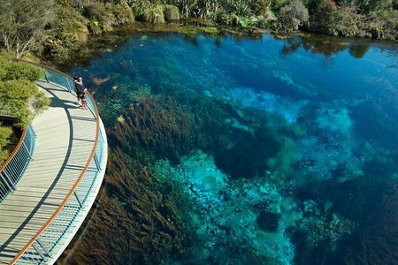 Cruise Abel Tasman to Golden Bay