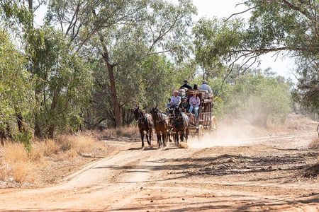 Cobb and Co Stagecoach Experience