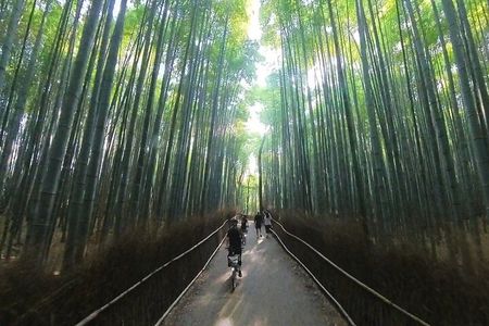 Better than only Bamboo forest! Perfect Arashiyama day by e-bike!