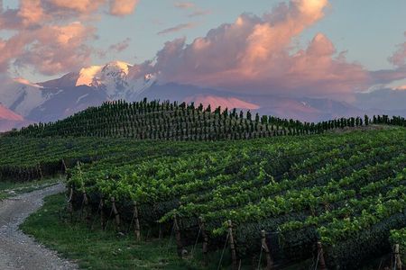 Zuccardi Legacy Tour Through Uco Valley’s Finest