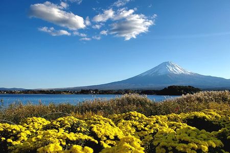 Mount Fuji Five Lakes Private Tour (Customizable)