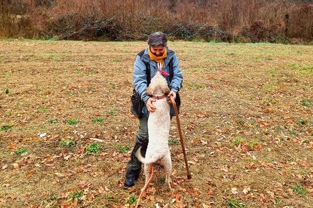 Truffle Hunting and Lunch in Piedmont Trattoria