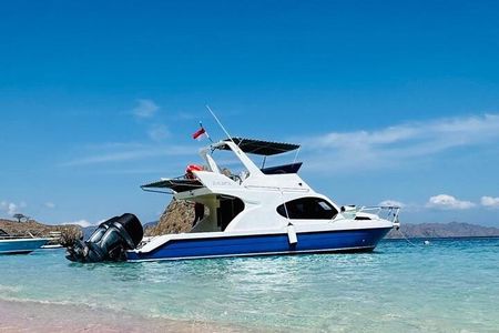 Early Morning Speedboat Tour to Komodo National Park 
