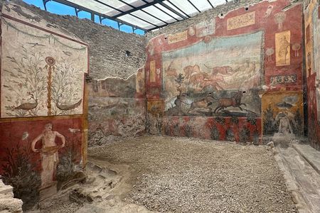 Pompeii Guided Tour from Positano with an Archaeologist
