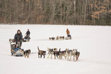 Ultimate Dog Sledding Tour