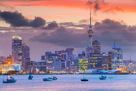 Auckland Sightseeing Half Day Tour