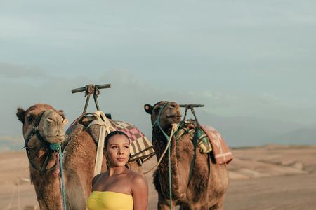 From Ouarzazate: 2 Days - 1 night Zagora Desert back to Marrakech