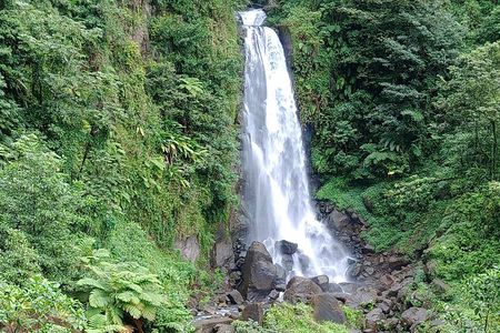 Dominica Scenic Waterfalls and Hot Springs 