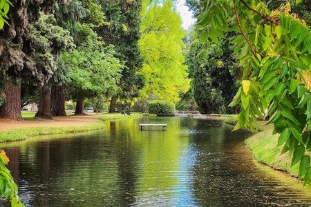 Mt Field National Park and Russell Falls with Bonorong Wildlife