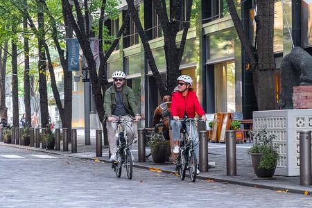 3hr Private E-bike Tours in Tokyo, Starting at your hotel