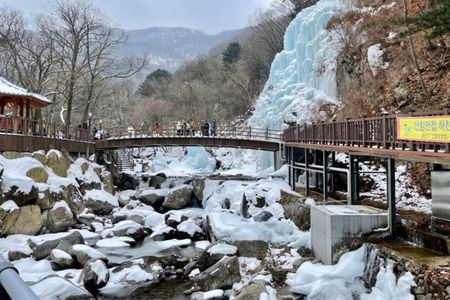 Eobi Ice Valley& Nami Island with Garden of Morning Calm Trip 