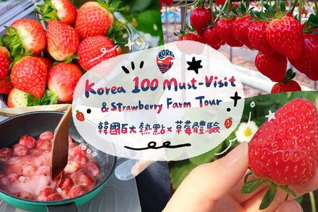 Strawberry Picking+Nami Island+Eobi Valley+Garden Lighting Fest