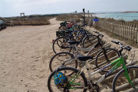 Ibiza Formentera Bike Tour with Transfer and Fast Ferry