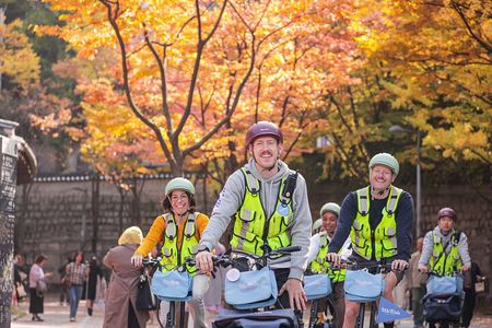 Seoul Morning E-bike Tour