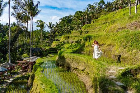 Ubud All-Inclusive Tour with Swing and Lunch