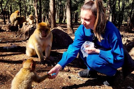 Middle Atlas Mountains and Azrou Day Tour from Fez 