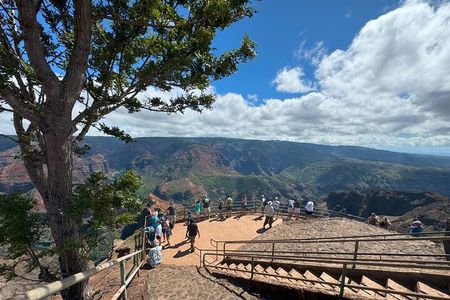 Private Kauai Island Tour : Waimea Canyon, Kalalau Lookout + More