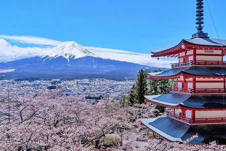 Mount Fuji and Hakone Private Tour With Pick And Drop