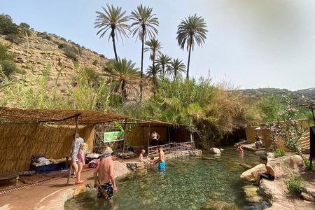 Half Day Paradise Valley Trip with Lunch