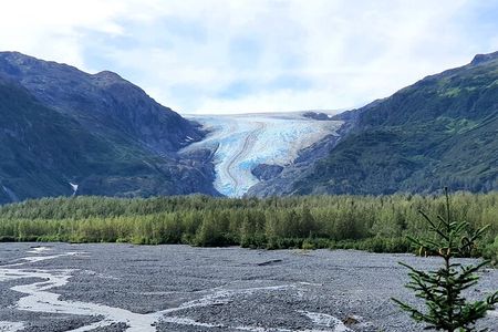 Exit Glacier Nature Hike in Seward