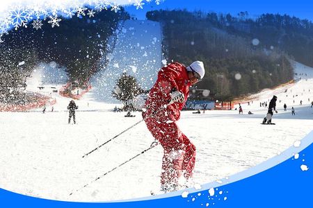 Jisan Ski One Day Tour