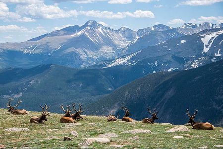 Rocky Mountain National Park - Private Sightseeing Tour