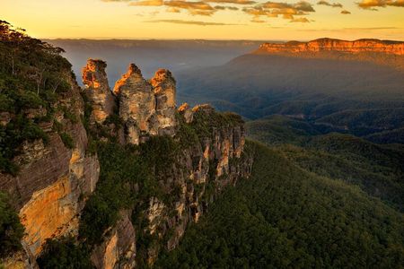 Intimate Blue Mountains Wild Kangaroos & Sunset for Nature Lovers